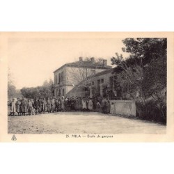 Rare collectable postcards of ALGERIA. Vintage Postcards of ALGERIA