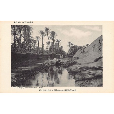 Rare collectable postcards of ALGERIA. Vintage Postcards of ALGERIA