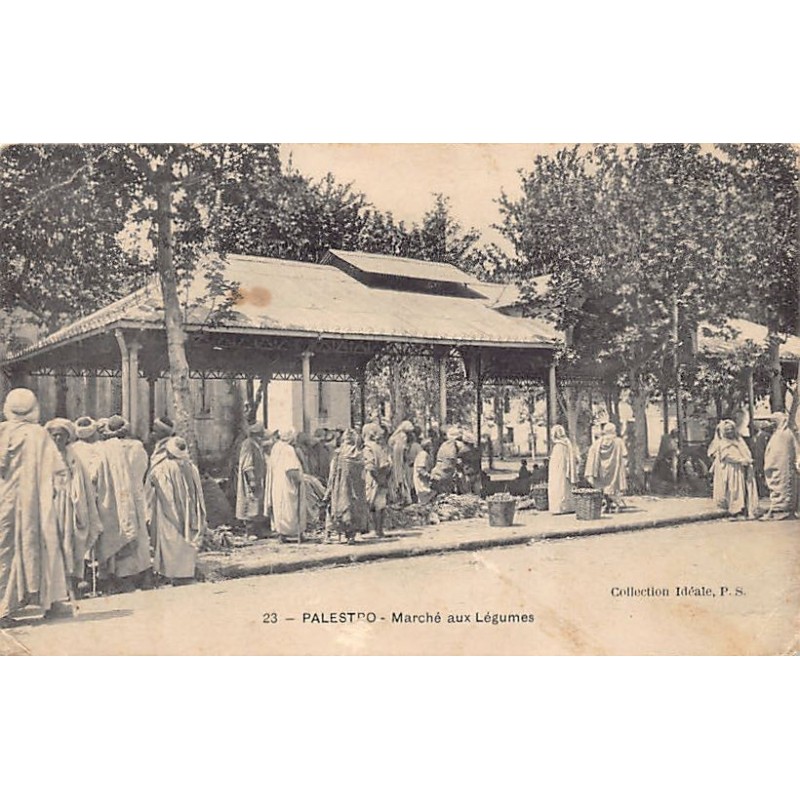 Rare collectable postcards of ALGERIA. Vintage Postcards of ALGERIA