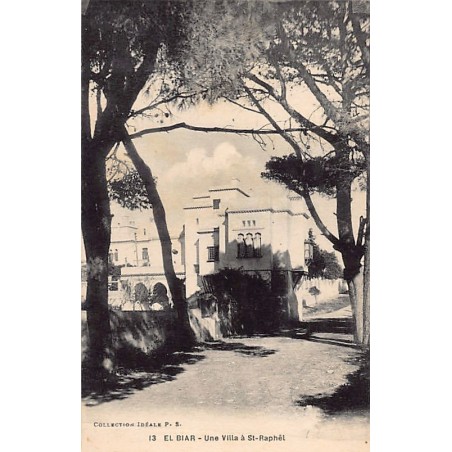 Rare collectable postcards of ALGERIA. Vintage Postcards of ALGERIA