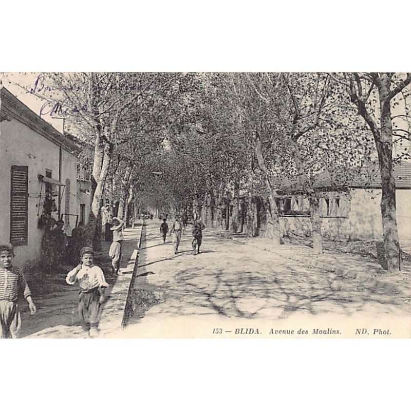 Rare collectable postcards of ALGERIA. Vintage Postcards of ALGERIA