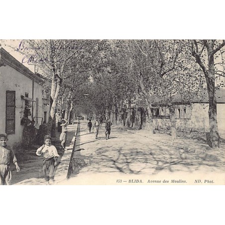 Rare collectable postcards of ALGERIA. Vintage Postcards of ALGERIA