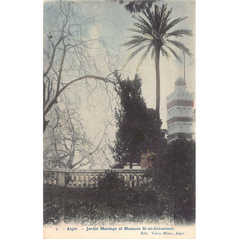 Rare collectable postcards of ALGERIA. Vintage Postcards of ALGERIA