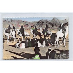 Rare collectable postcards of ALGERIA. Vintage Postcards of ALGERIA