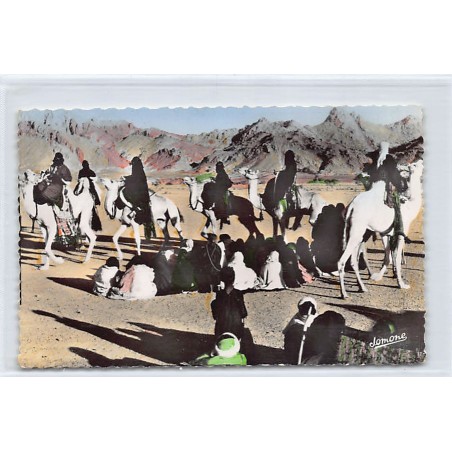 Rare collectable postcards of ALGERIA. Vintage Postcards of ALGERIA