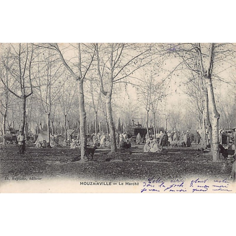 Rare collectable postcards of ALGERIA. Vintage Postcards of ALGERIA