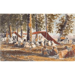 Rare collectable postcards of ALGERIA. Vintage Postcards of ALGERIA