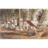 Rare collectable postcards of ALGERIA. Vintage Postcards of ALGERIA