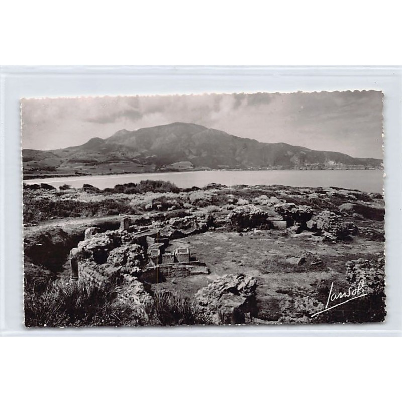 Rare collectable postcards of ALGERIA. Vintage Postcards of ALGERIA
