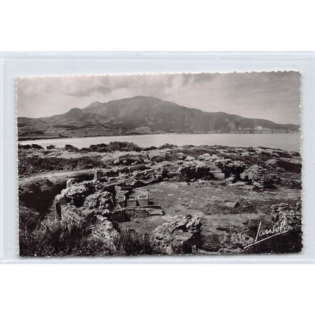 Rare collectable postcards of ALGERIA. Vintage Postcards of ALGERIA