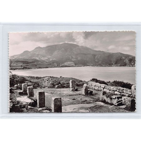 Rare collectable postcards of ALGERIA. Vintage Postcards of ALGERIA