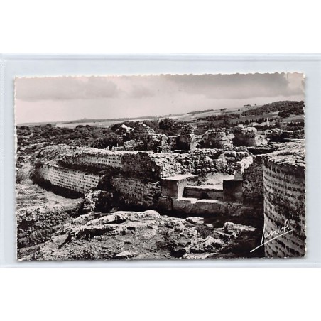 Rare collectable postcards of ALGERIA. Vintage Postcards of ALGERIA