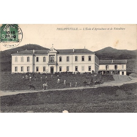 Rare collectable postcards of ALGERIA. Vintage Postcards of ALGERIA