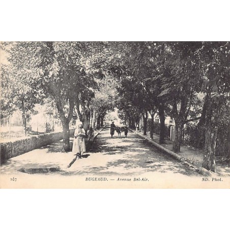 Rare collectable postcards of ALGERIA. Vintage Postcards of ALGERIA