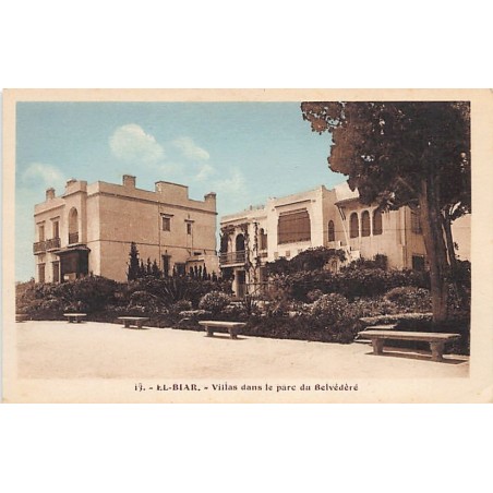 Rare collectable postcards of ALGERIA. Vintage Postcards of ALGERIA