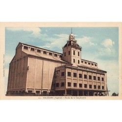Rare collectable postcards of ALGERIA. Vintage Postcards of ALGERIA