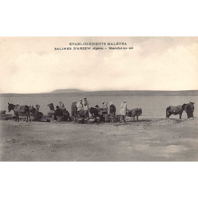 Rare collectable postcards of ALGERIA. Vintage Postcards of ALGERIA