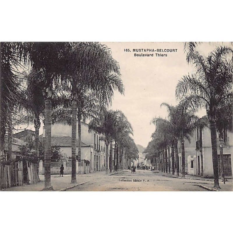 Rare collectable postcards of ALGERIA. Vintage Postcards of ALGERIA