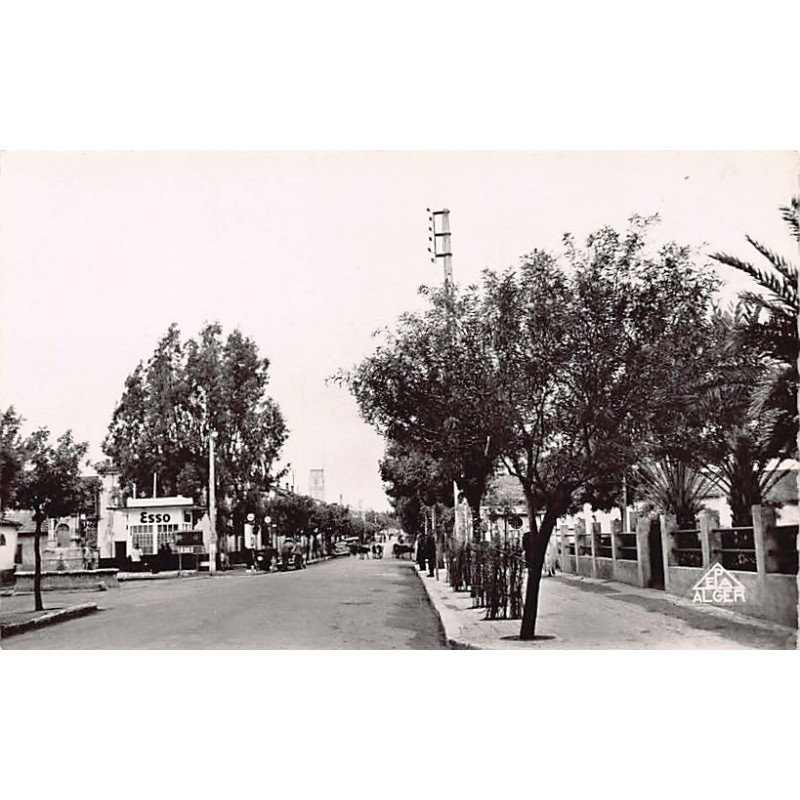 Rare collectable postcards of ALGERIA. Vintage Postcards of ALGERIA