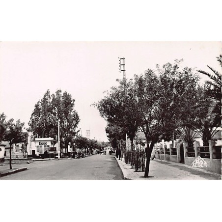 Rare collectable postcards of ALGERIA. Vintage Postcards of ALGERIA