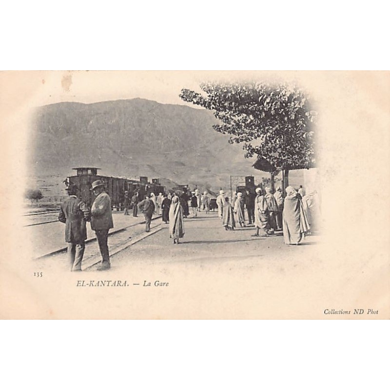 Rare collectable postcards of ALGERIA. Vintage Postcards of ALGERIA