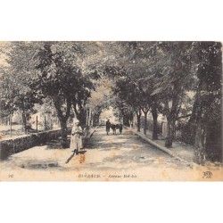 Rare collectable postcards of ALGERIA. Vintage Postcards of ALGERIA