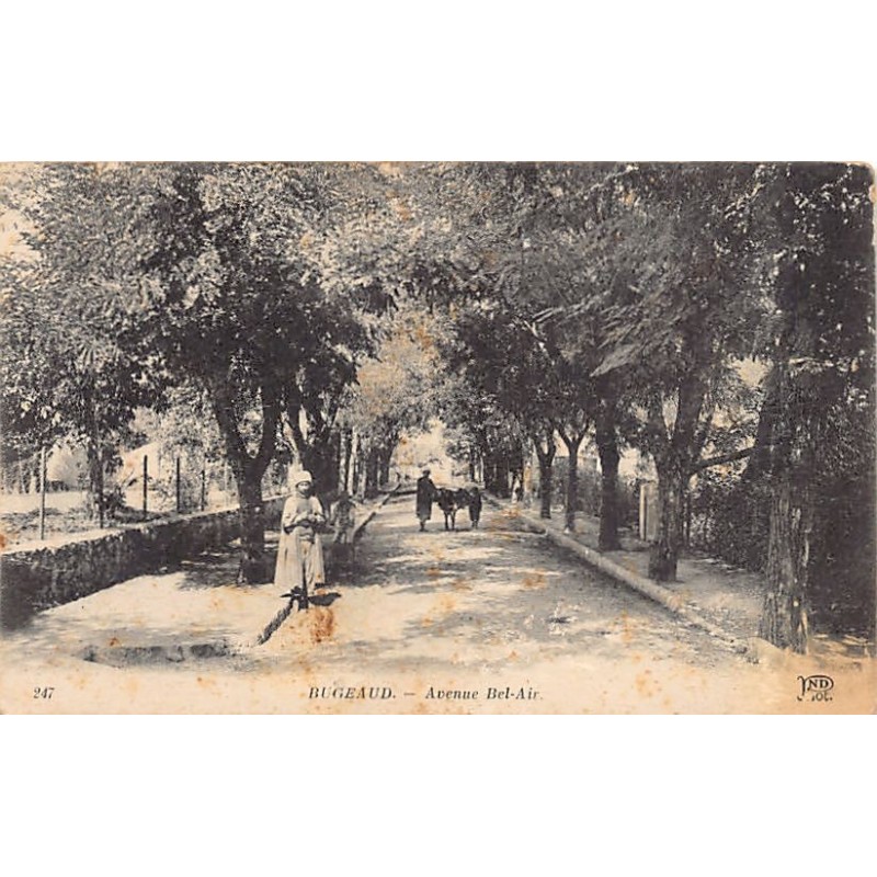 Rare collectable postcards of ALGERIA. Vintage Postcards of ALGERIA