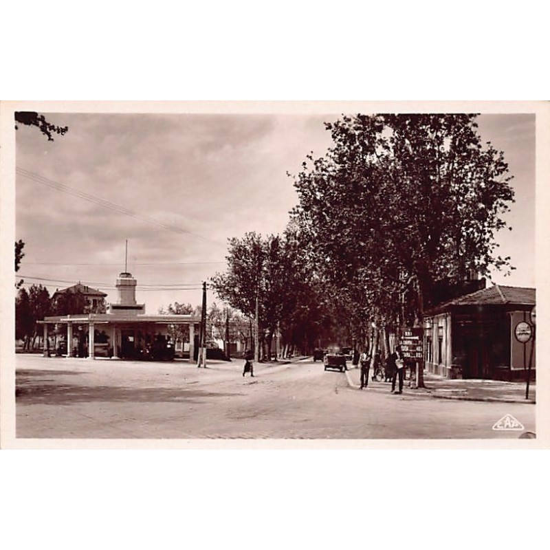 Rare collectable postcards of ALGERIA. Vintage Postcards of ALGERIA