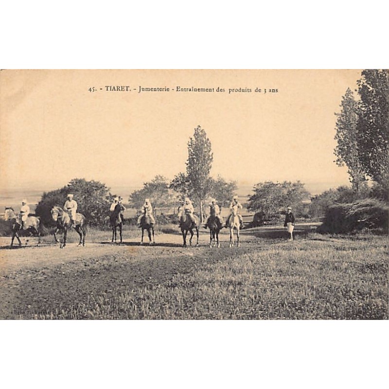 Rare collectable postcards of ALGERIA. Vintage Postcards of ALGERIA
