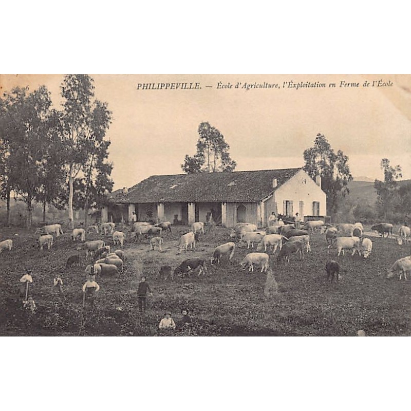 Rare collectable postcards of ALGERIA. Vintage Postcards of ALGERIA