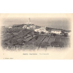 Rare collectable postcards of ALGERIA. Vintage Postcards of ALGERIA