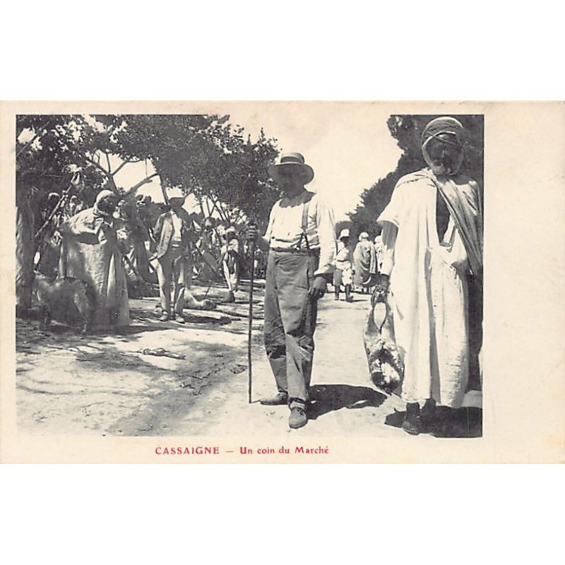 Rare collectable postcards of ALGERIA. Vintage Postcards of ALGERIA