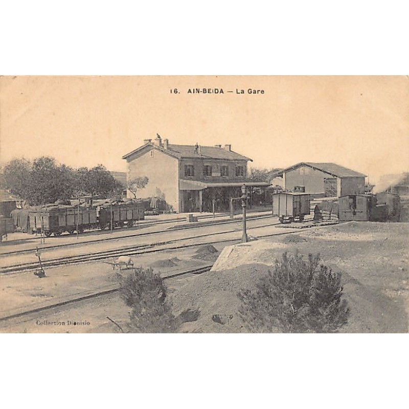 Rare collectable postcards of ALGERIA. Vintage Postcards of ALGERIA