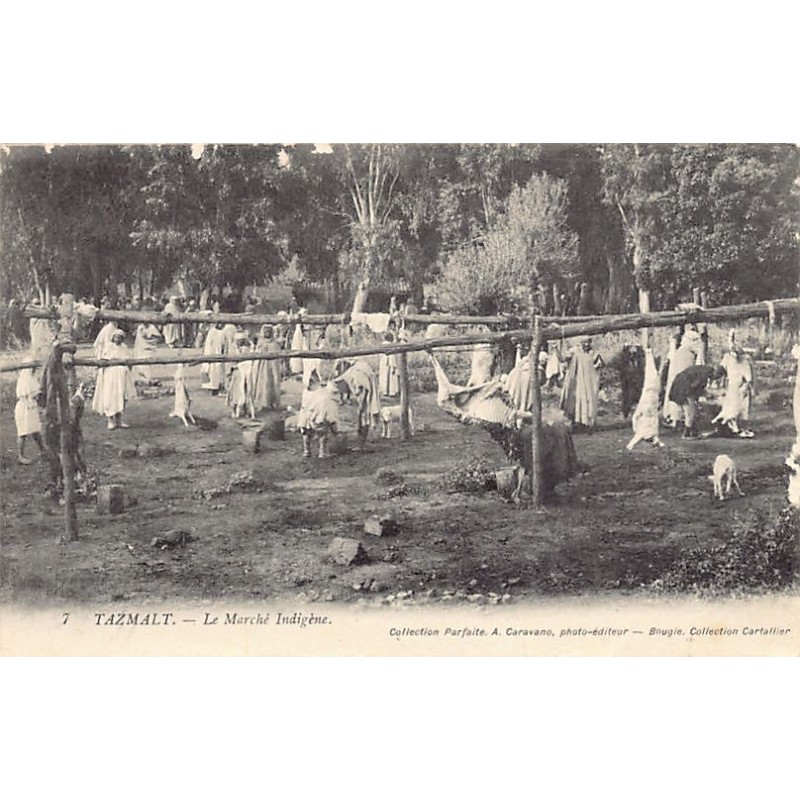 Rare collectable postcards of ALGERIA. Vintage Postcards of ALGERIA