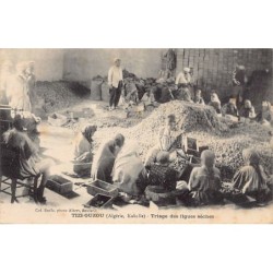 Rare collectable postcards of ALGERIA. Vintage Postcards of ALGERIA