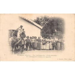 Rare collectable postcards of ALGERIA. Vintage Postcards of ALGERIA