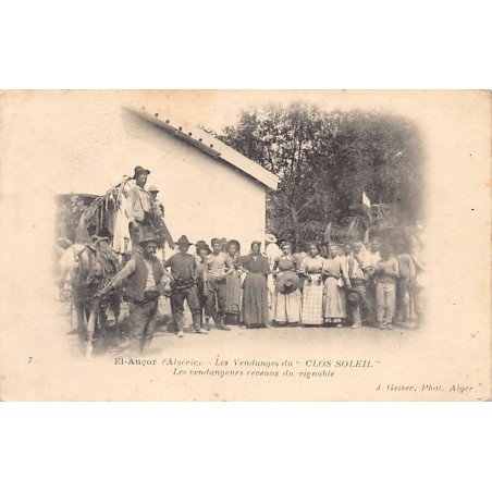 Rare collectable postcards of ALGERIA. Vintage Postcards of ALGERIA