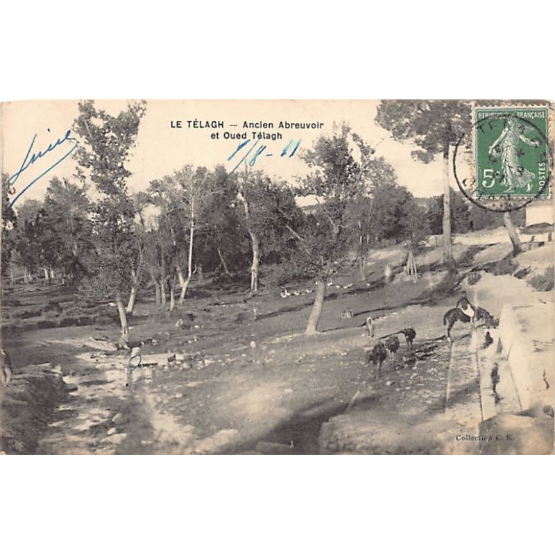 Rare collectable postcards of ALGERIA. Vintage Postcards of ALGERIA