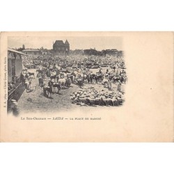 Rare collectable postcards of ALGERIA. Vintage Postcards of ALGERIA