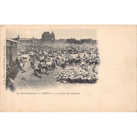Rare collectable postcards of ALGERIA. Vintage Postcards of ALGERIA