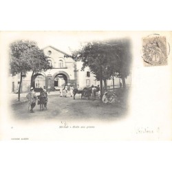 Rare collectable postcards of ALGERIA. Vintage Postcards of ALGERIA