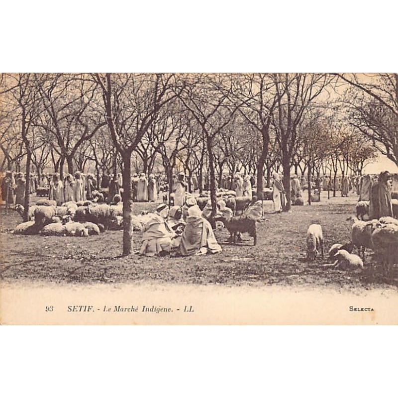 Rare collectable postcards of ALGERIA. Vintage Postcards of ALGERIA
