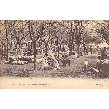 Rare collectable postcards of ALGERIA. Vintage Postcards of ALGERIA