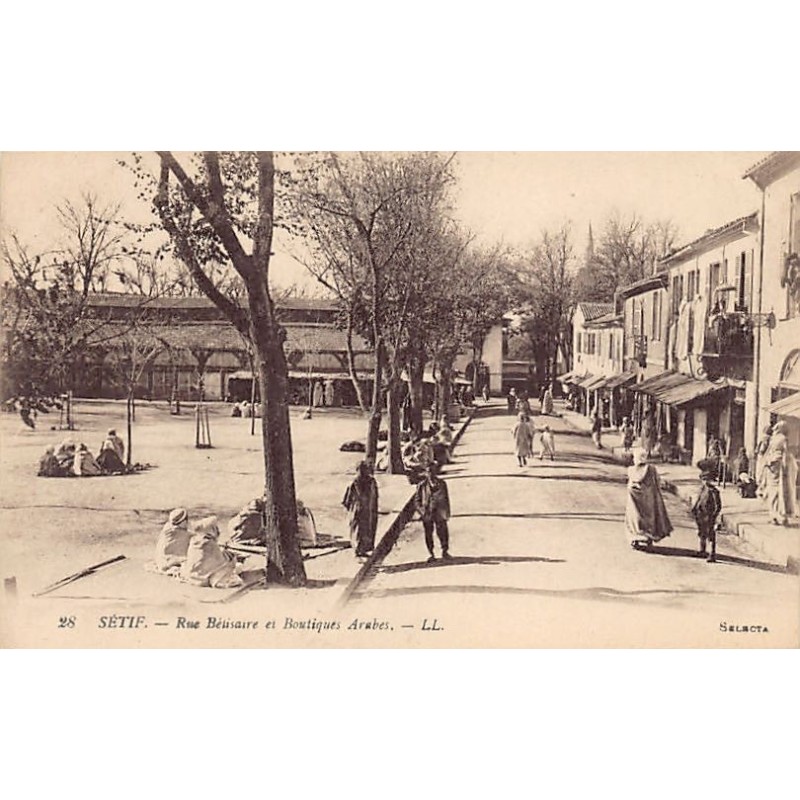 Rare collectable postcards of ALGERIA. Vintage Postcards of ALGERIA