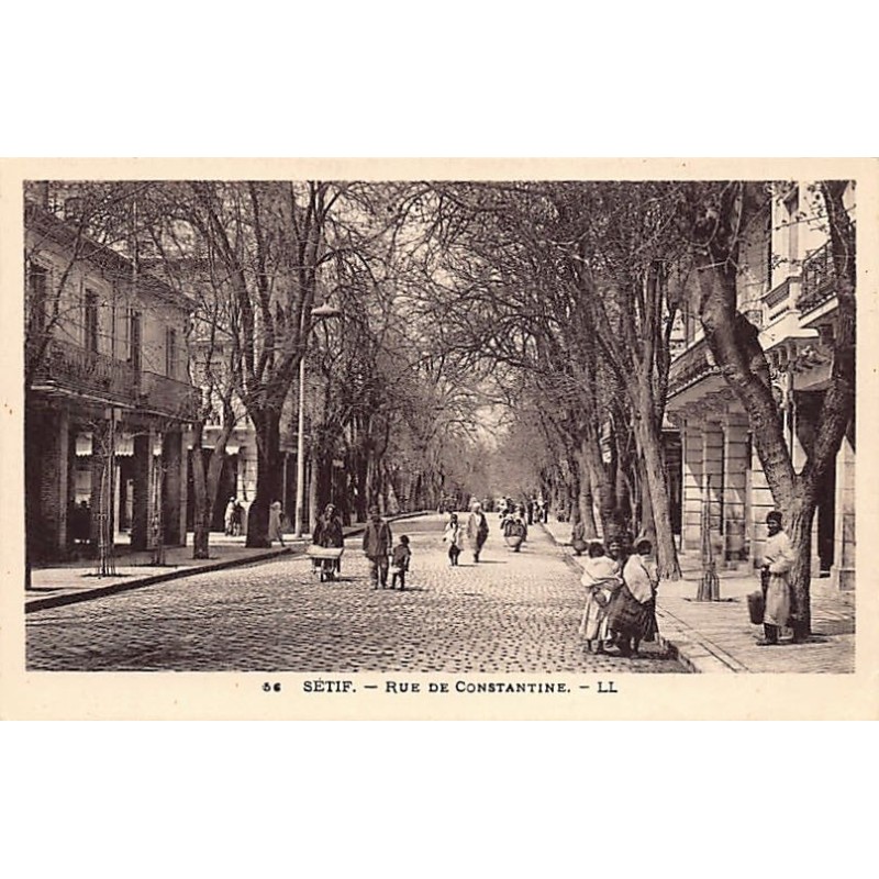 Rare collectable postcards of ALGERIA. Vintage Postcards of ALGERIA