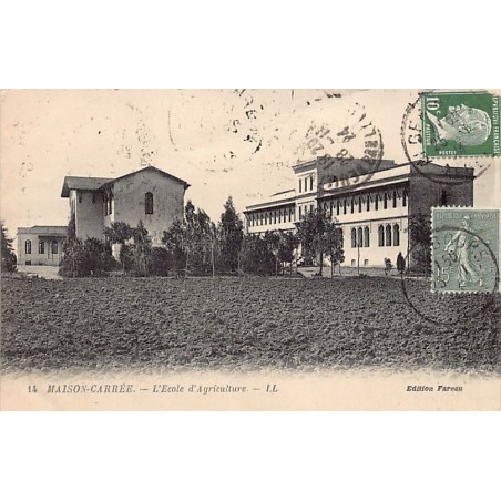 Rare collectable postcards of ALGERIA. Vintage Postcards of ALGERIA