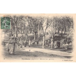 Rare collectable postcards of ALGERIA. Vintage Postcards of ALGERIA