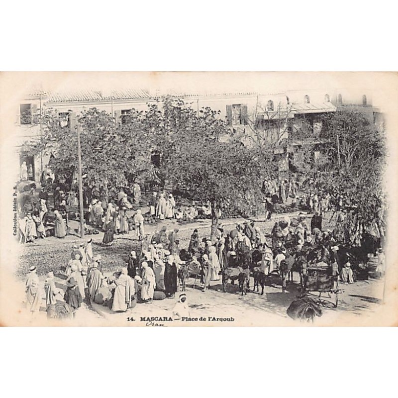 Rare collectable postcards of ALGERIA. Vintage Postcards of ALGERIA