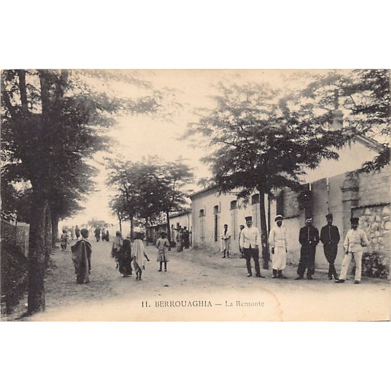 Rare collectable postcards of ALGERIA. Vintage Postcards of ALGERIA