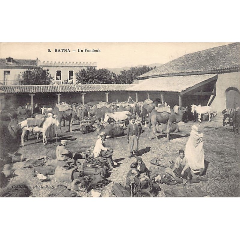 Rare collectable postcards of ALGERIA. Vintage Postcards of ALGERIA